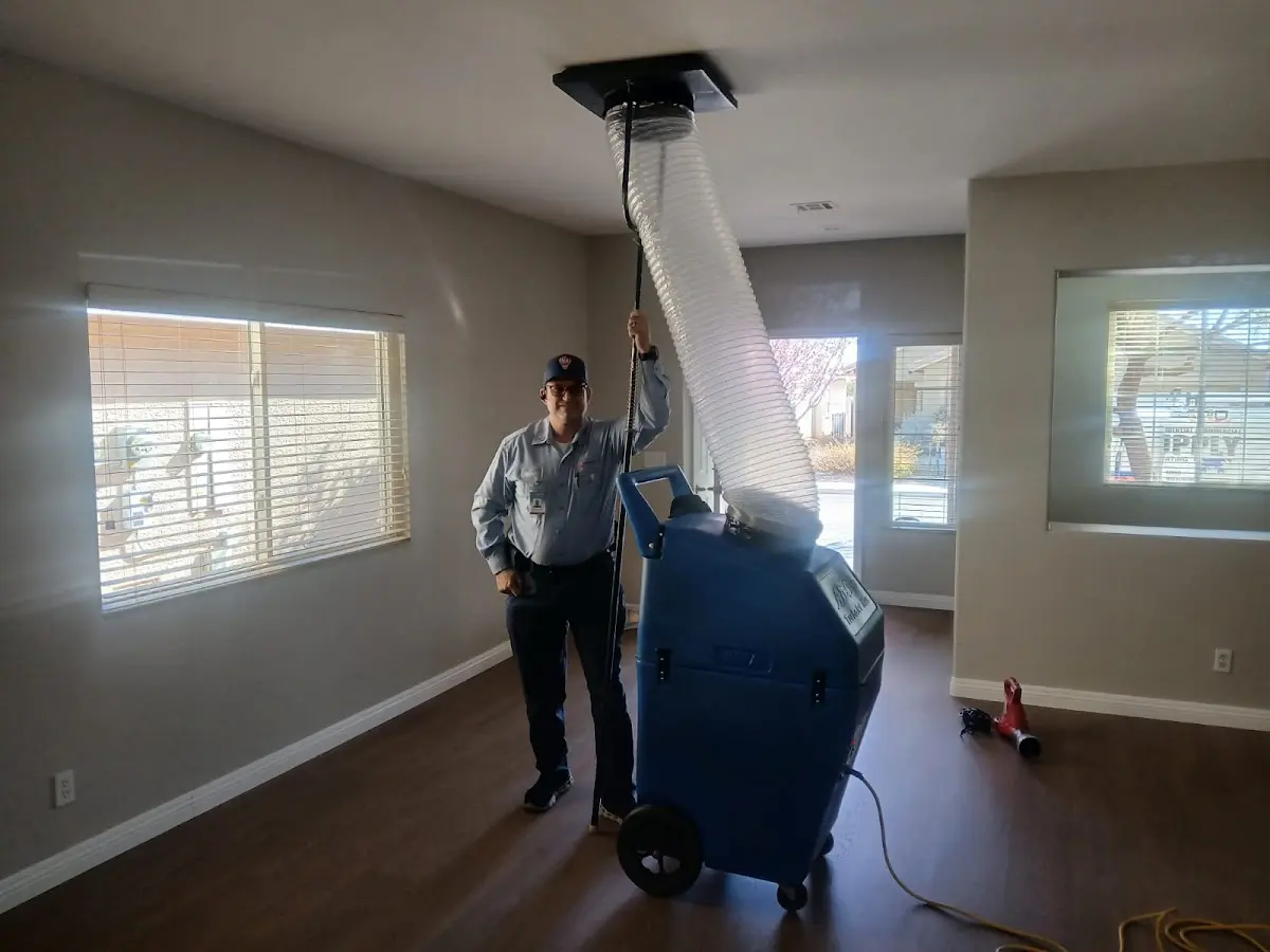 Professional Dryer Vent Cleaning work inside a Steger home